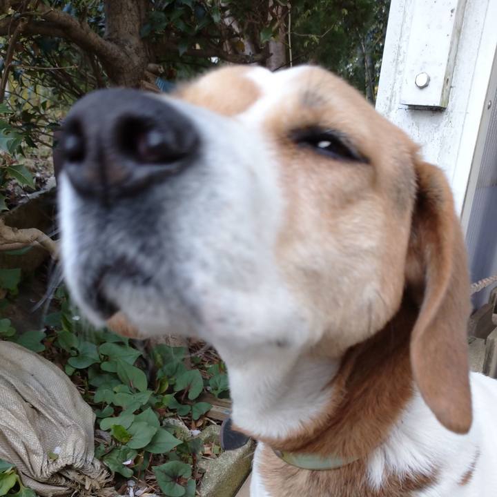 71e71c37 a19e 47a1 a996 227c922b0d03 1617076247085