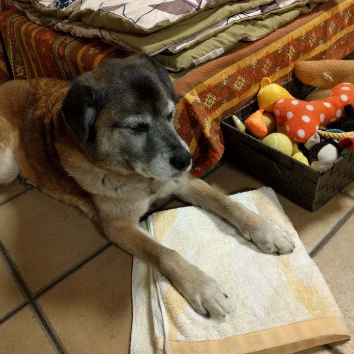 71e737fc 6737 4817 b700 8fbb26aa29fa 1555375106734