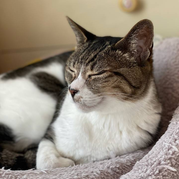 71e78264 e65a 4efc ba1d 574b6eab200b 1617067988497