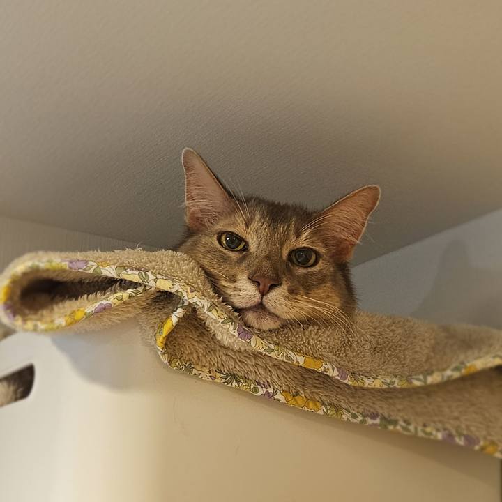 71e7880f bc7d 47d4 98b6 72e87e46613c 1761483382173