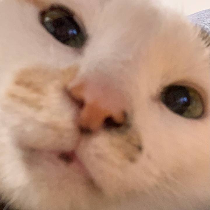 71e7a37e 4a70 4d7e b1b8 548744b768a6 1619827560118