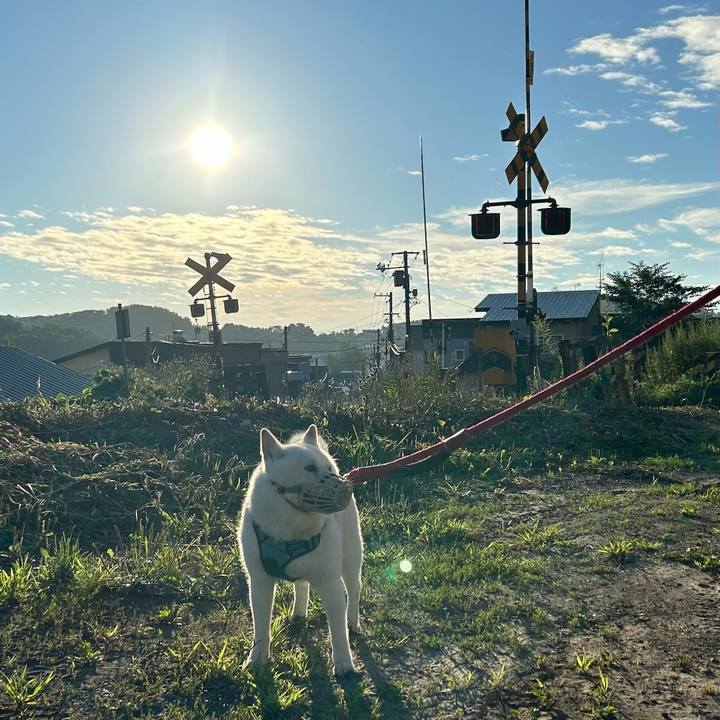 71e7f453 9a45 40de a8c7 42da2fadd02c 1723420986853