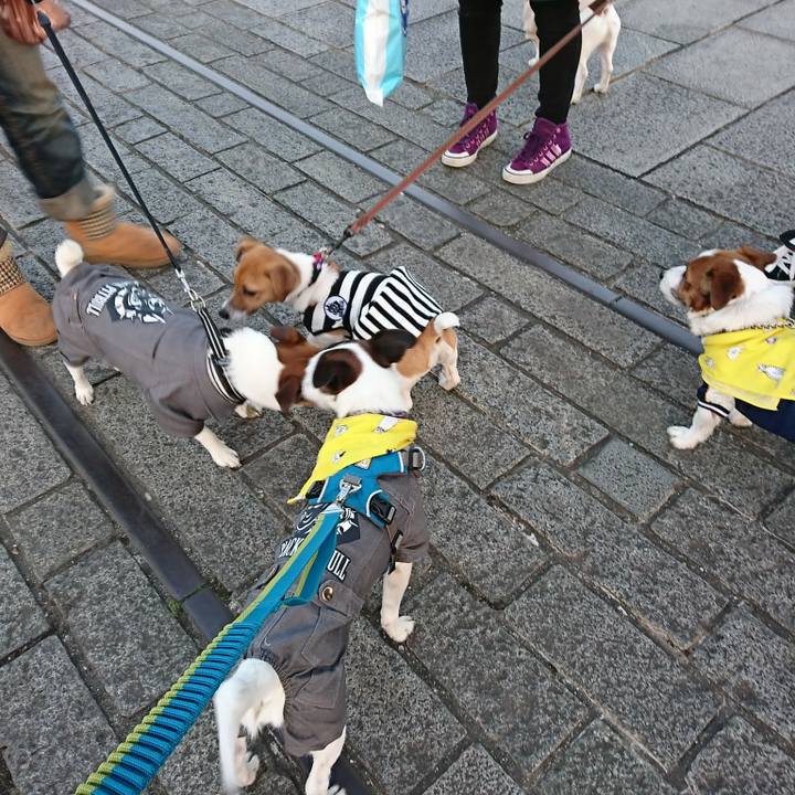 71e80aa6 3c8b 421a 8d26 244b3f226d5d 1516524659835