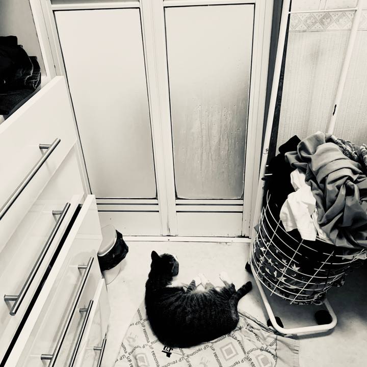 71e81289 e925 4e66 ade3 ff9dac2612ab 1592751996127