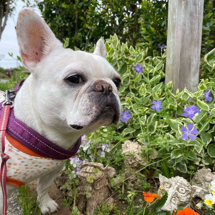 71e82ee1 a6cf 45d2 adc6 48d7b67fce89 1745131747352