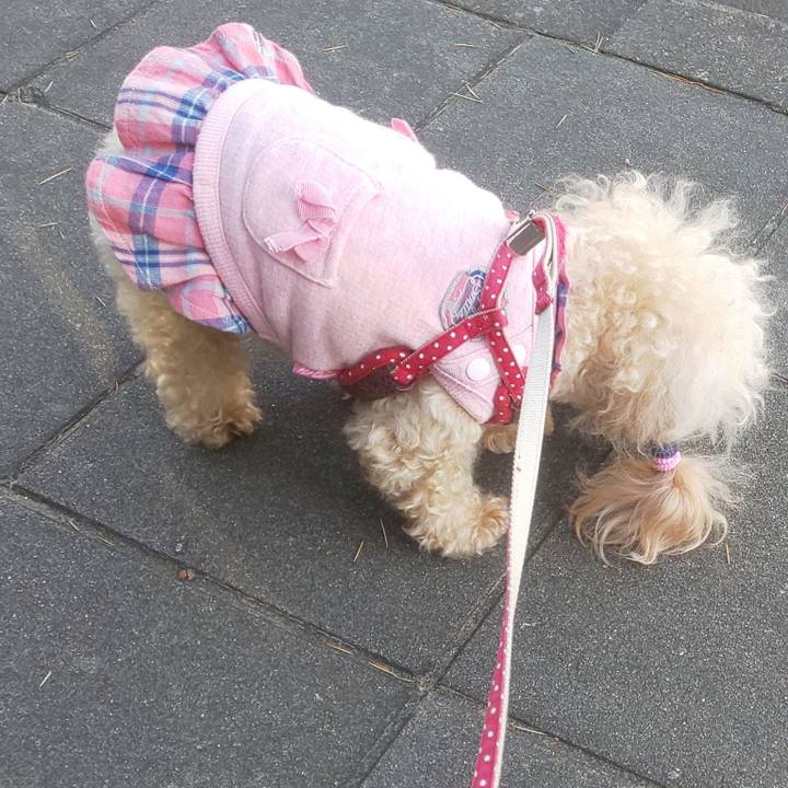 71e85057 388e 4c65 a0a0 d3c79166ce39 1637325761132