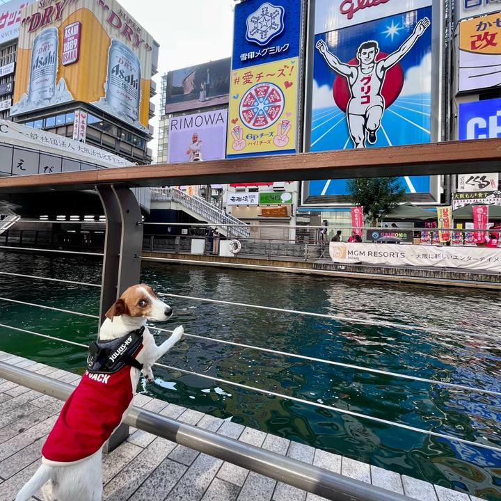 71e85132 4e43 4441 ac05 ea5368df7909 1699163325822