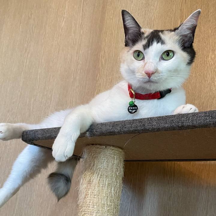 71e8590c 40b1 40ec a8fd 56afa9d3d989 1728698336943