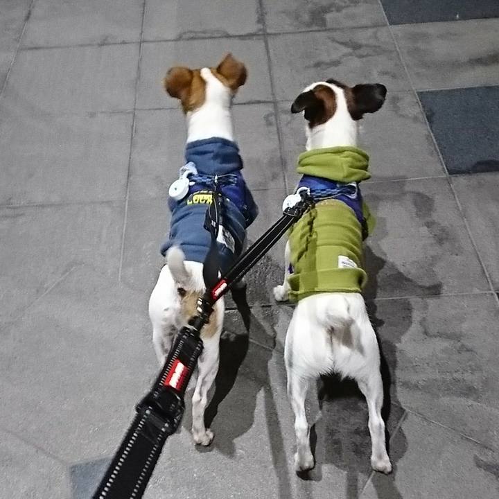 71e85911 355b 4cd1 afdd 70af30e53ec9 1539691980035