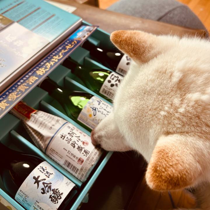 71e86c3f dfee 4b05 b314 46224885b861 1686974216667