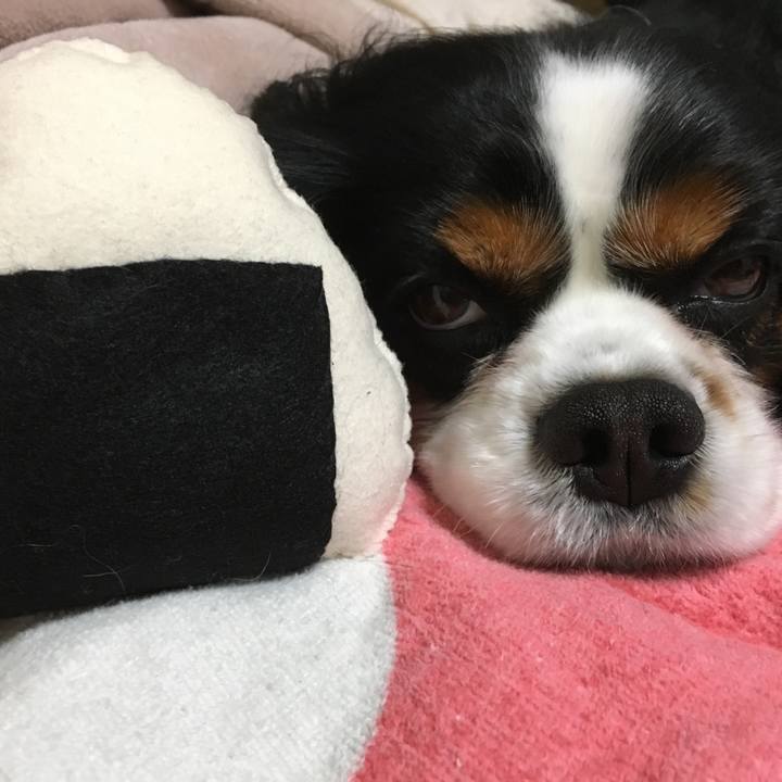 71e8a6d3 3875 49a8 b07b 7b76bf460b6d 1519121909197