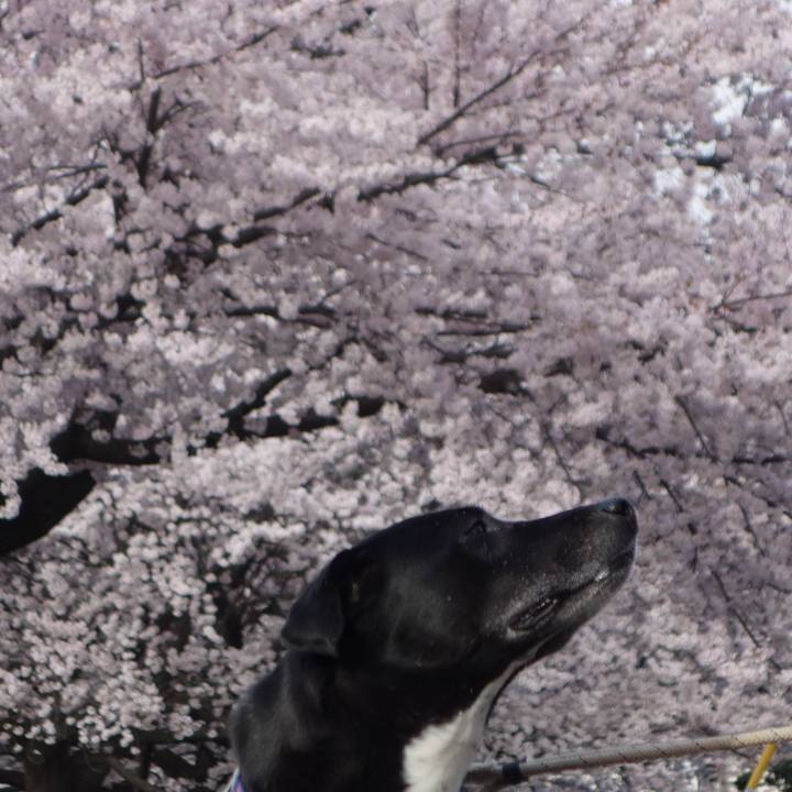 71e8e23d 5519 48b2 92c6 08f629e03ef9 1648688717892