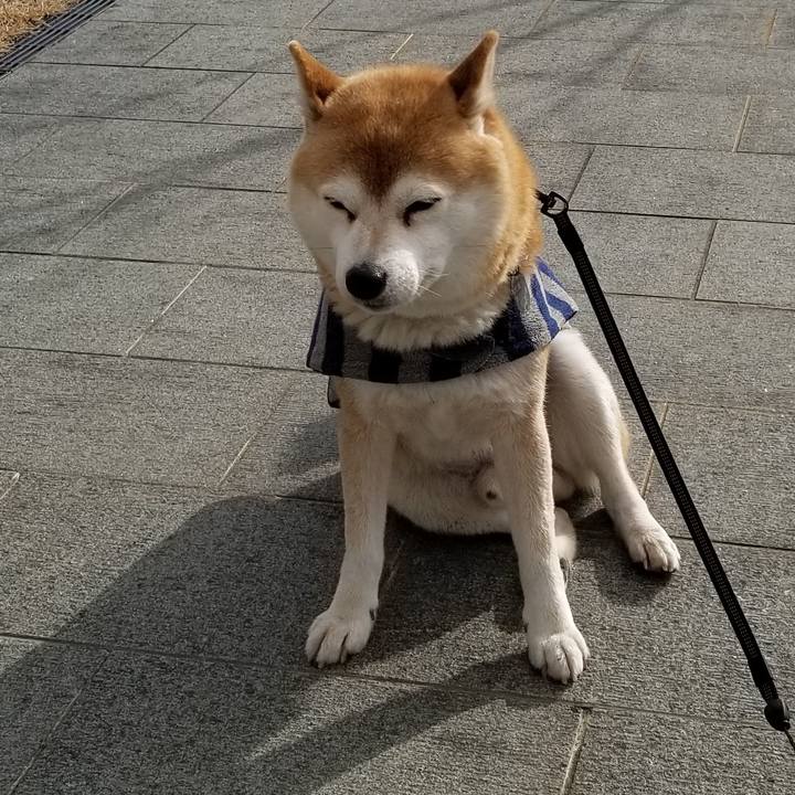 71e8eafc cc79 4d8f b9fd 72c5ccab18b3 1611726007989