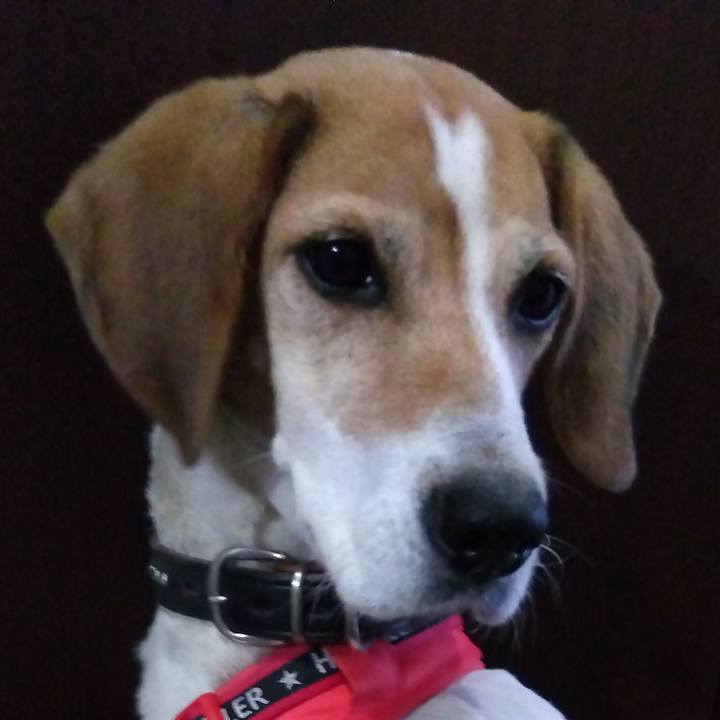 71e8f241 4cef 4253 afff ffc9b456d55e 1702354042097