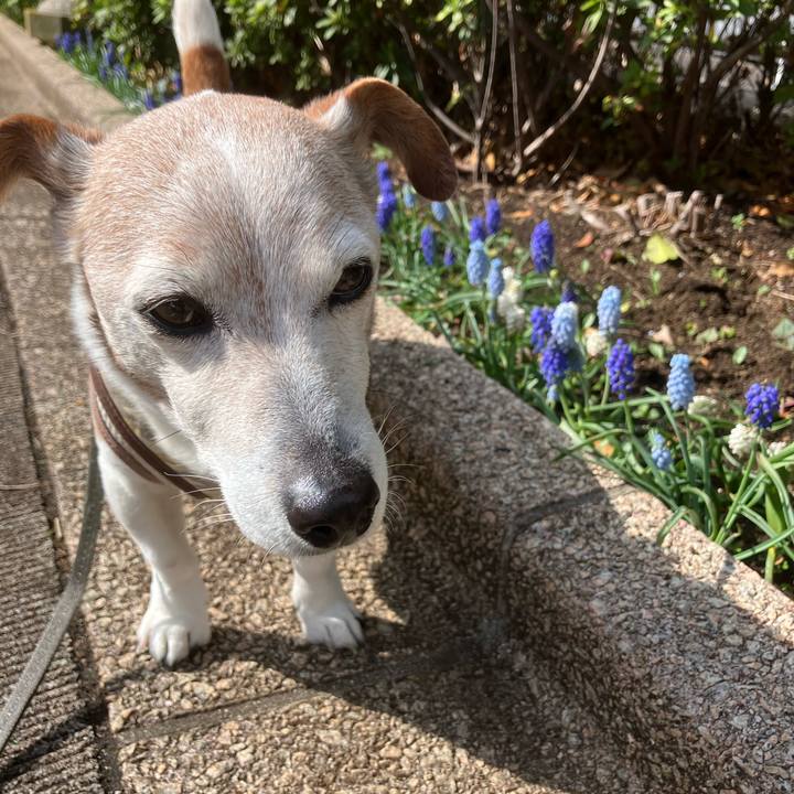 71e8fb2a 501b 42f2 ba4c 341767ccc6dc 1774913194589