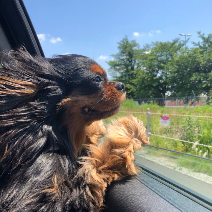 71e910ac a058 40a2 9afc 53968f5967f2 1533310635285