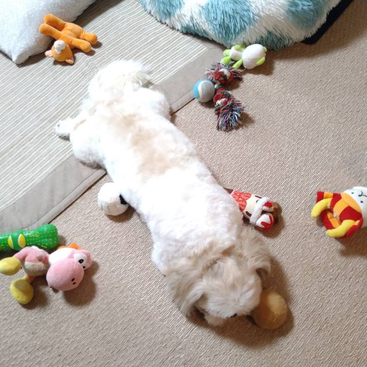 71e942c5 1cf9 4620 a83a 95ce313e92e5 1631071756805