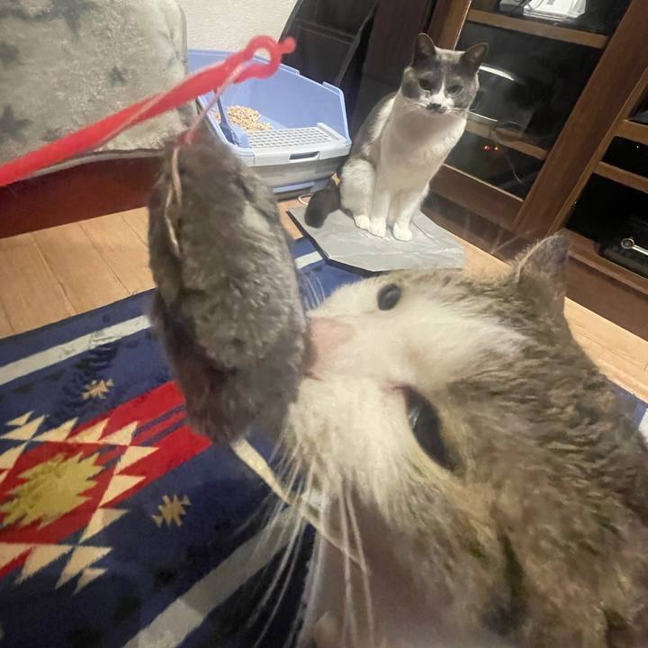 71e972df b728 422e 8a5f 54238aaccb09 1627907093881