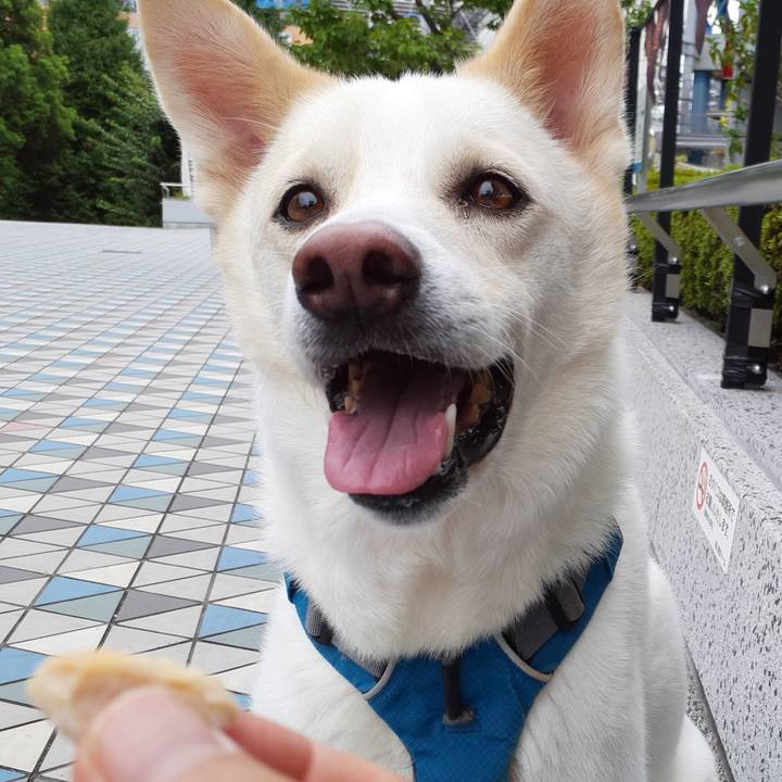 71e992a2 1414 47cd 857c 02bc9a3a640a 1662869683307