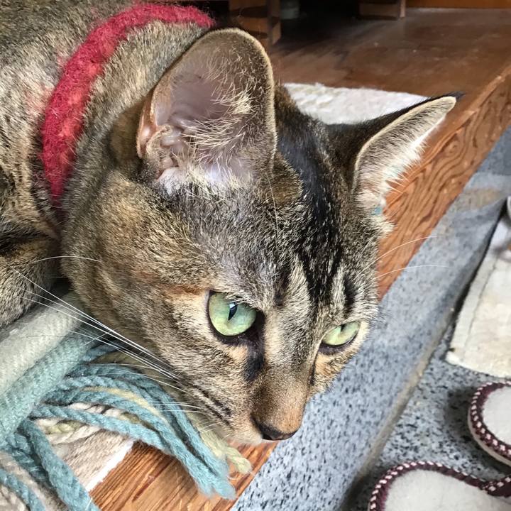 71e9a532 aa30 4792 95e8 79becfa2c073 1601864391840