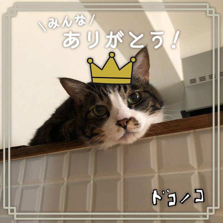 71e9c06c a272 408e b314 592ca9f32f35 1622857407902