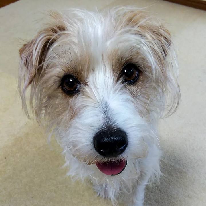 71e9d06f 28ca 4b75 9a62 bcaa2526ae06 1527113168304