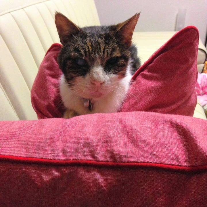 71e9e4c4 2530 40fb 9cc9 464fb0e5873b 1598080792275