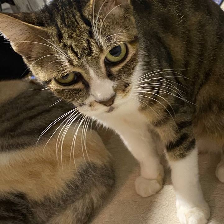 71e9f2fe c590 445b a157 99a4cd140301 1603791102891