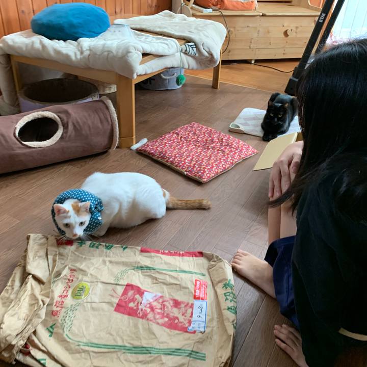 71ea16b9 3396 46b7 9093 a0cf66b01bca 1635918857015