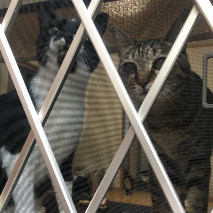 71ea7953 e13f 4d4a 967c 2d43cce90f09 1657427476935