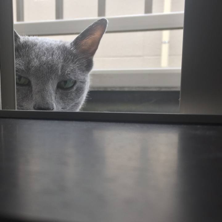 71eaae77 de14 4f57 90d1 70d0dbd872c7 1560813108413