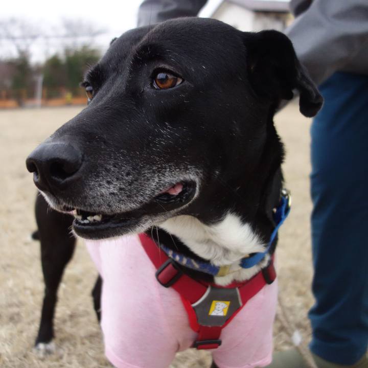 71eb0c42 03a6 437f 99ac c408075ea2f6 1676246903978