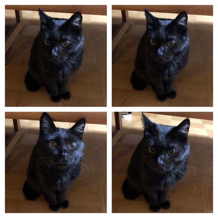 71eb2389 f3bc 4701 a80b 049046939ae4 1567686805466