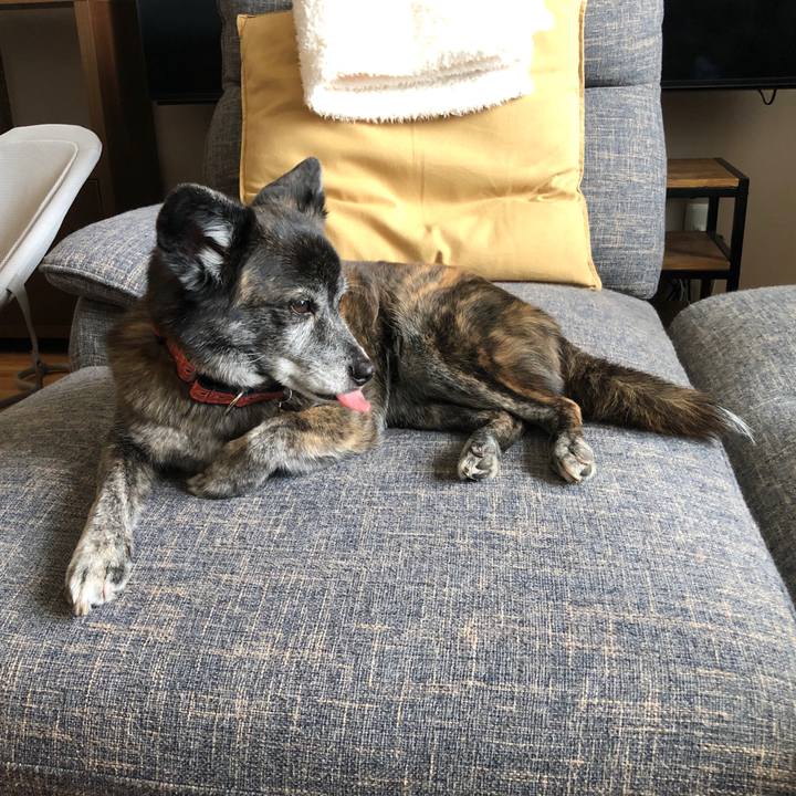 71eb9c84 ac05 4cfe 91bb d52658b46f2c 1713603596029