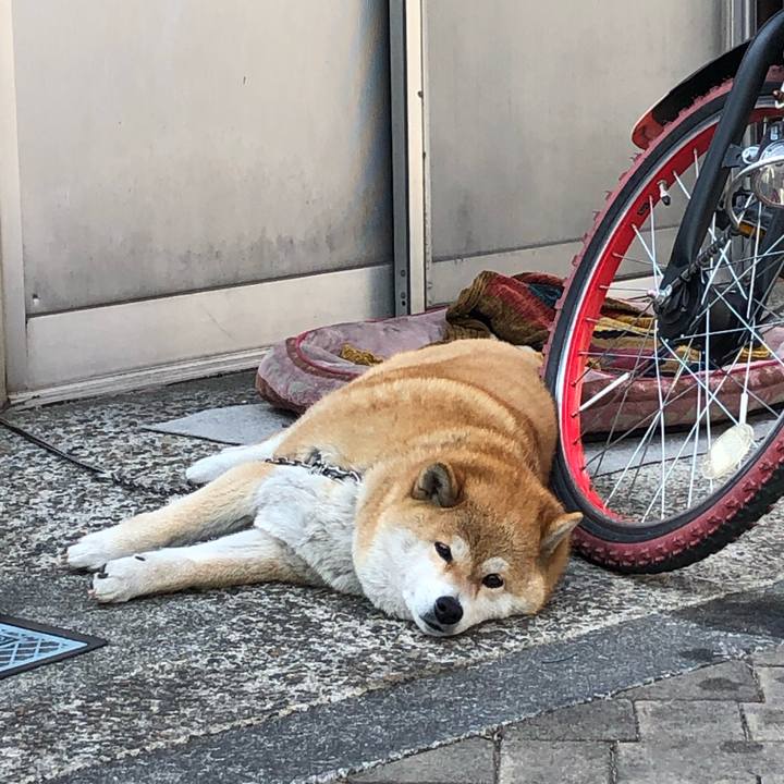 71ebb0d0 5798 471a baaf 2d0ef2f7dfd2 1647723401597