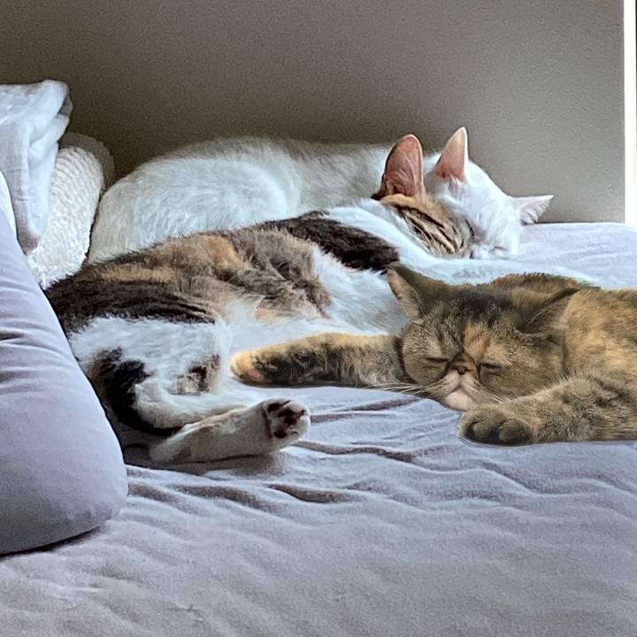 71ebc275 4746 47ef 8543 be6d8be8013a 1663110411230