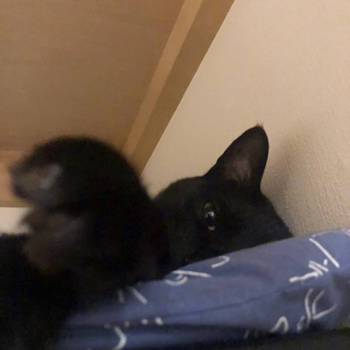 71ebf942 5690 48bd 91d6 c915efb17ee1 1559915779335