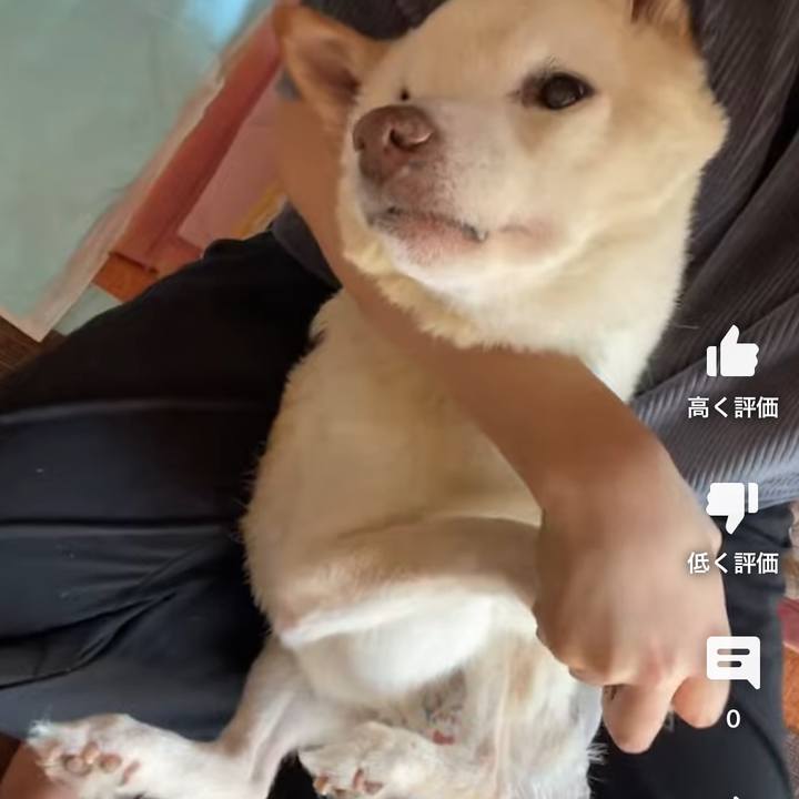 71ec4c05 0c4b 4de2 afd5 952a46458022 1671513600517