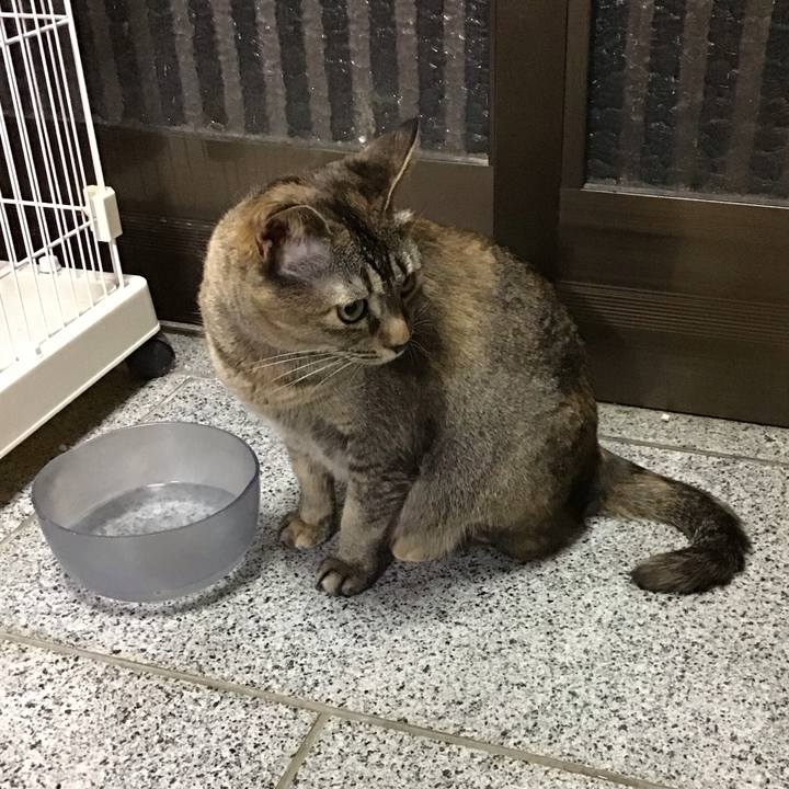 71ec732e 205a 4133 a5ba 653a804dfc2e 1684589556759