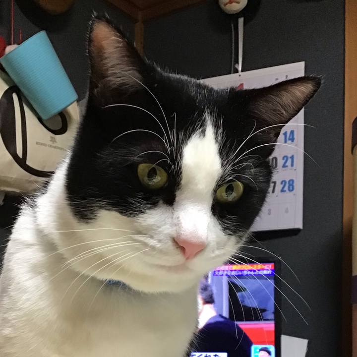 71ec738f ffba 4562 81c0 b75743496134 1674479546995