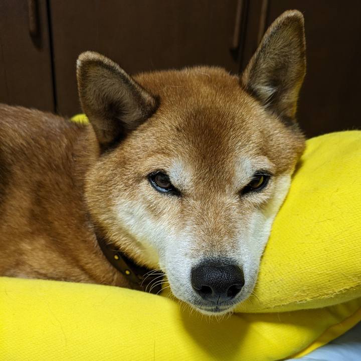 71ec9672 624a 471b 9cd2 0bf67d17aca1 1697366179339