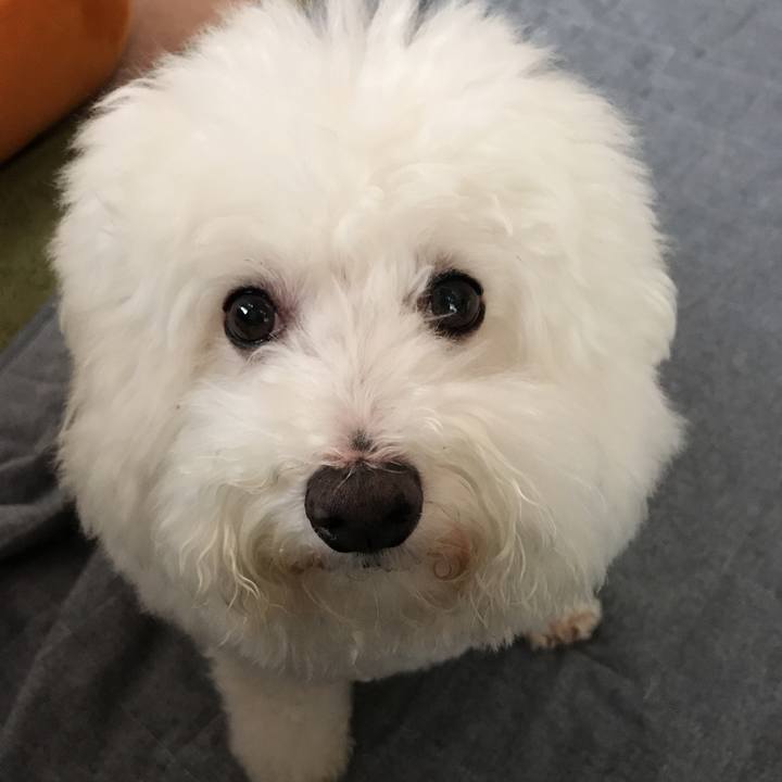 71ec9c05 53c2 4ed8 a6ff 85f647a788fc 1538693641299