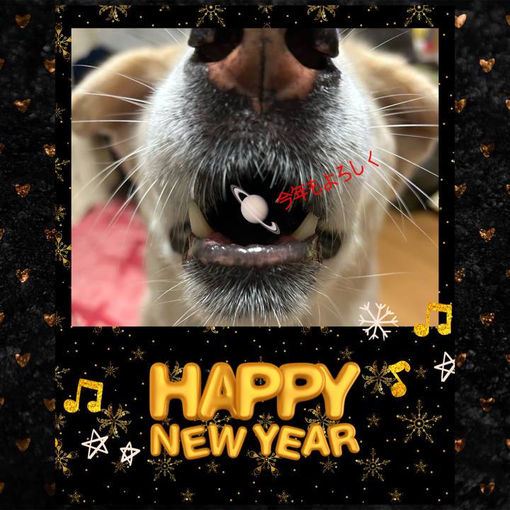 71eced88 67b7 4127 ab72 24d9736ed2fe 1735657993446