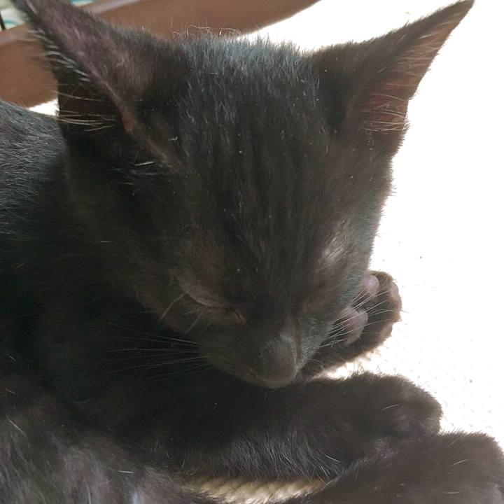 71ed1964 aeb6 4fc4 ae83 084011bb2d88 1625735596331