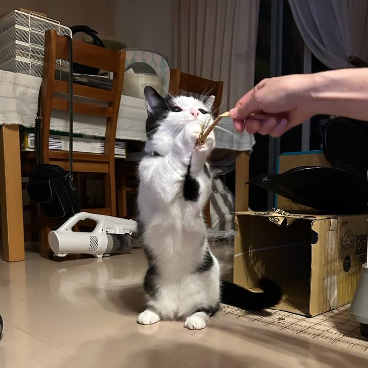 71ed3045 e988 4c36 b64e 3156a7d08479 1759446554233