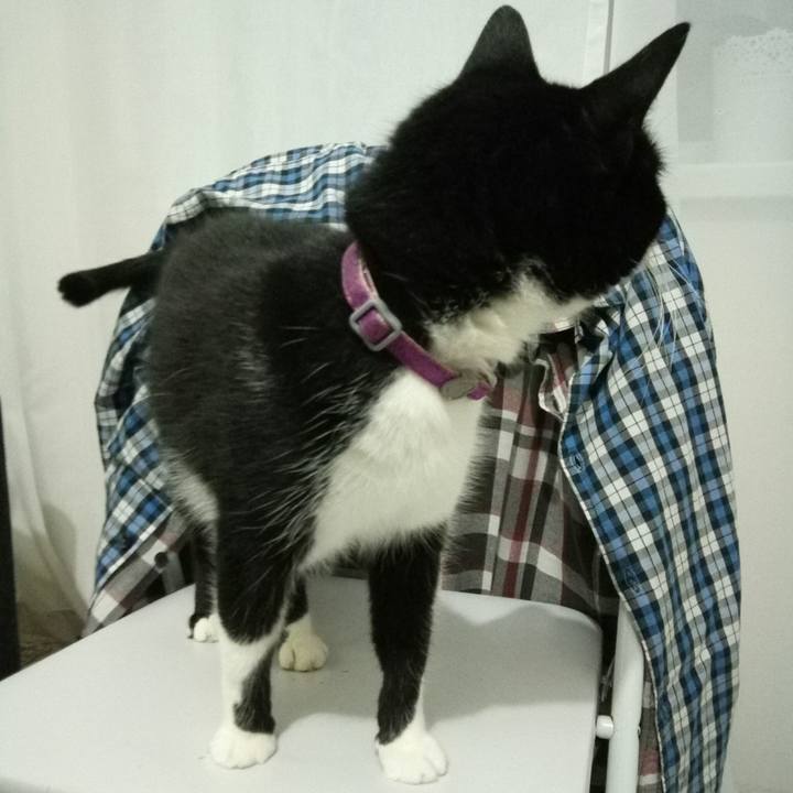 71ed57c9 dc6a 422e 8430 23c0e8293da3 1508096262579