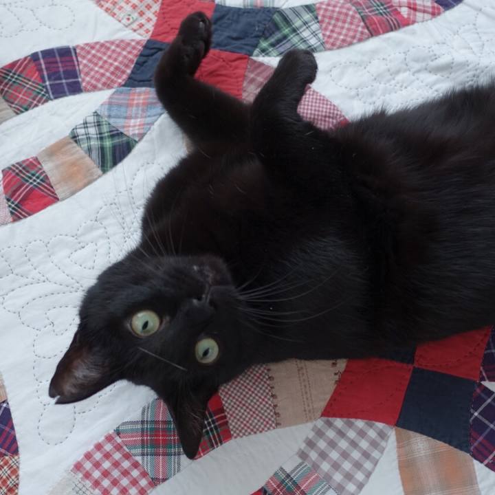 71ed8346 2a85 4073 9e83 bb0e82c14031 1511929465784