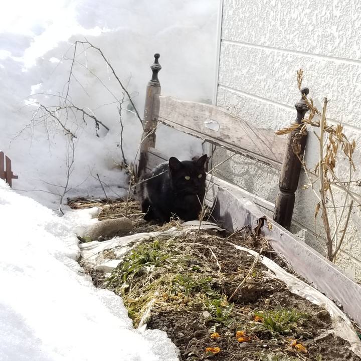 71ed84d7 082f 4094 b9b1 07ff1d93753c 1585145390288