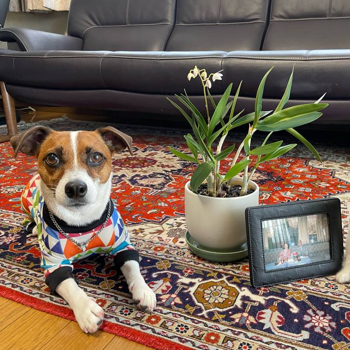 71ed88a5 8d9d 4e90 9788 8b798ab16885 1649329632931