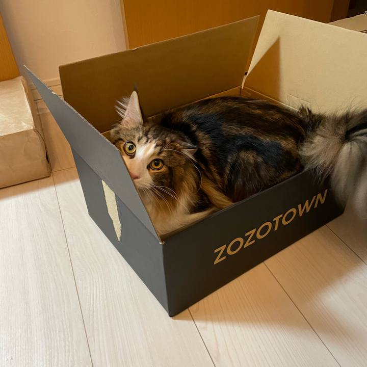 71ed8d0c b22f 4d69 8dbf aed087e32116 1645087243199